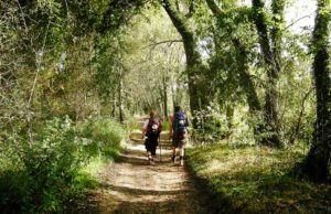 Come Arrivare a Santiago de Compostela Come arrivare a Santiago de Compostela spagna.it foto José Antonio Gil Martínez flickr.com