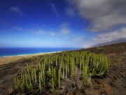 Isole Canarie Spagna: quali sono e informazioni pratiche Cofete- Fuerteventura - Foto di Paolo Fefé - http://www.flickr.com/paolofefe