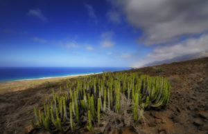Isole Canarie Spagna: quali sono e informazioni pratiche Cofete- Fuerteventura - Foto di Paolo Fefé - http://www.flickr.com/paolofefe