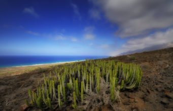 Isole Canarie Spagna: quali sono e informazioni pratiche Cofete- Fuerteventura - Foto di Paolo Fefé - http://www.flickr.com/paolofefe